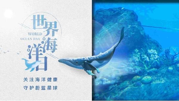 世界海洋日|德曼為你勾勒心中那片海